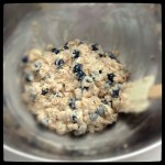 Low fat blueberry muffin 3